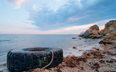 The Earth is Tire-d: A Canadian Fisherman’s Perspective on the Lasting Effects of the Tire Industry on Fisheries